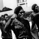 The Black Panthers