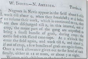 What was life on Slave Plantations like?