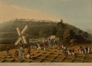 Slave Plantation. These grew crops such as sugar or cotton. They formed a large part of the Slave economy and triangular trade.