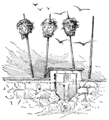Harvest of Heads