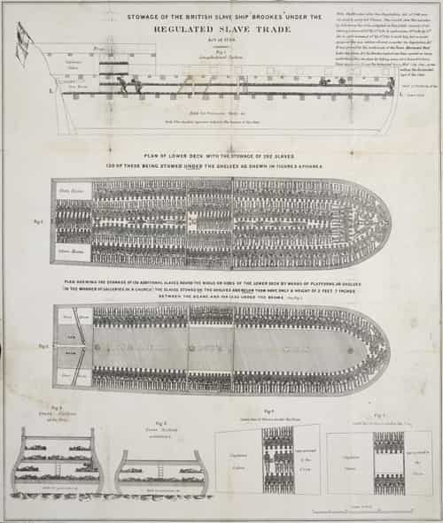 Slave Ship Brook. Example of Slave Stowage on the Transatlantic section of Triangular Trade.